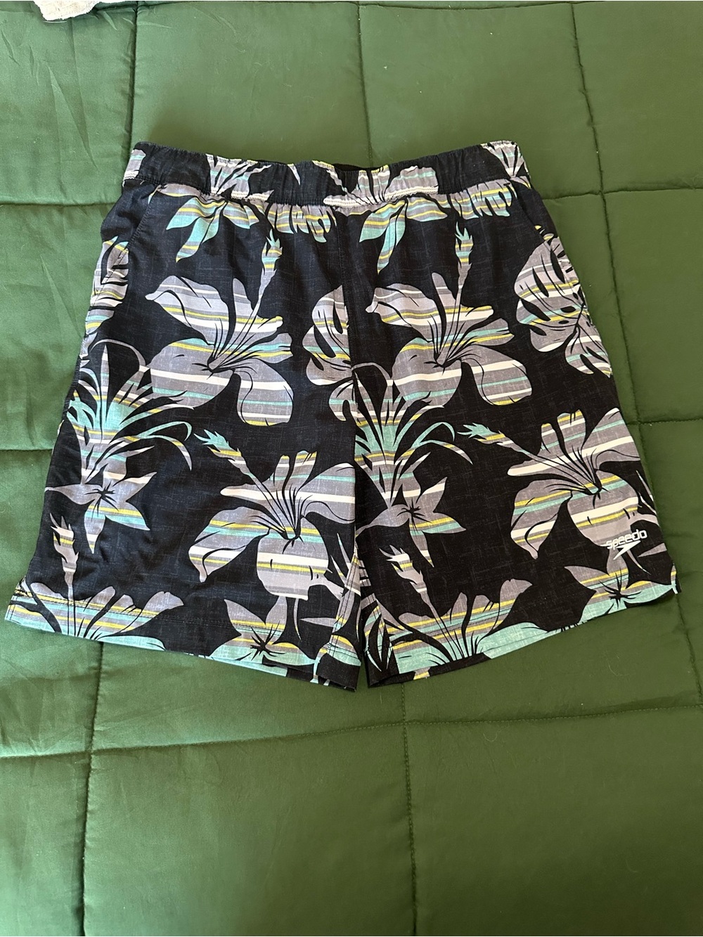 Speedo Men’s Black Floral Swim Shorts